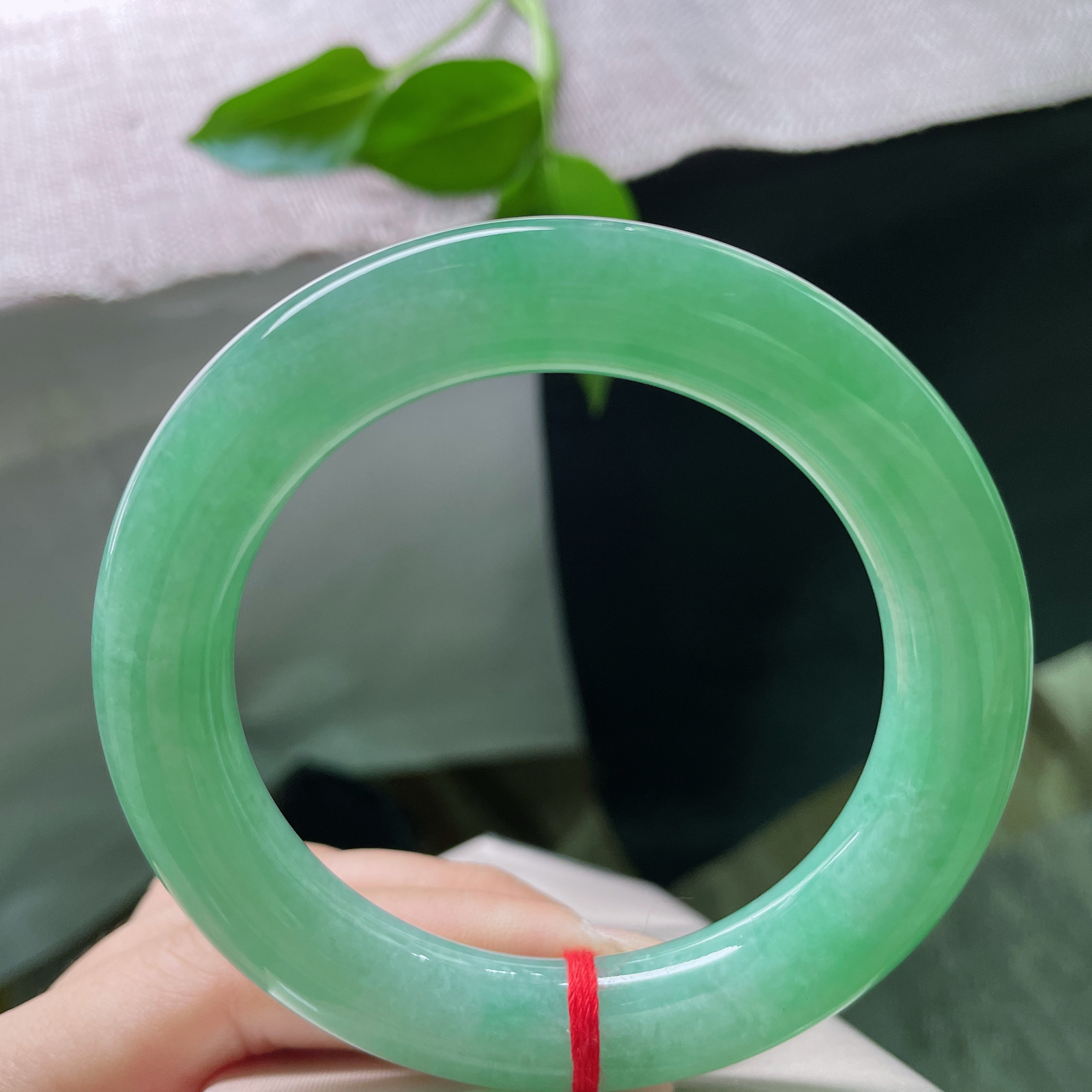 57.6/11.8，满绿圆条，圆的是福气，满的是生机。愿日子如这翠色，生生不息。棉线