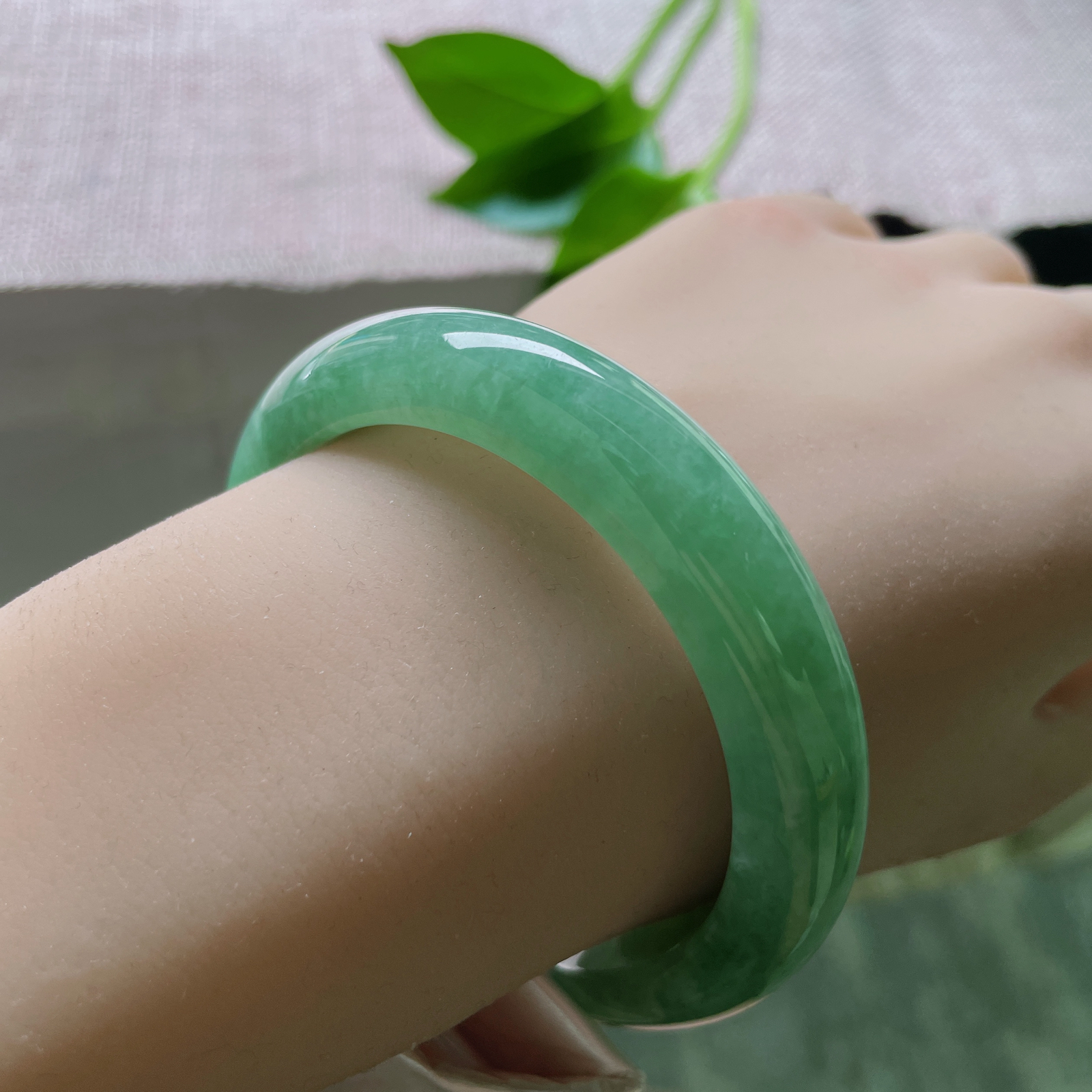 55.8/11.8/8.5，豆绿底正圈，是枝头初萌的豆蔻，是茶汤里漾开的青意。