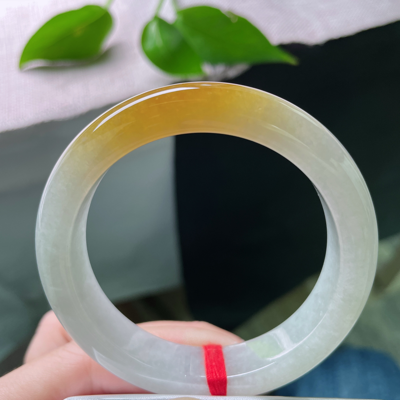 54.1/12.6/8.6黄翡正圈，水润细腻，金缕映婉，霞色生香，贵气，乌鸡