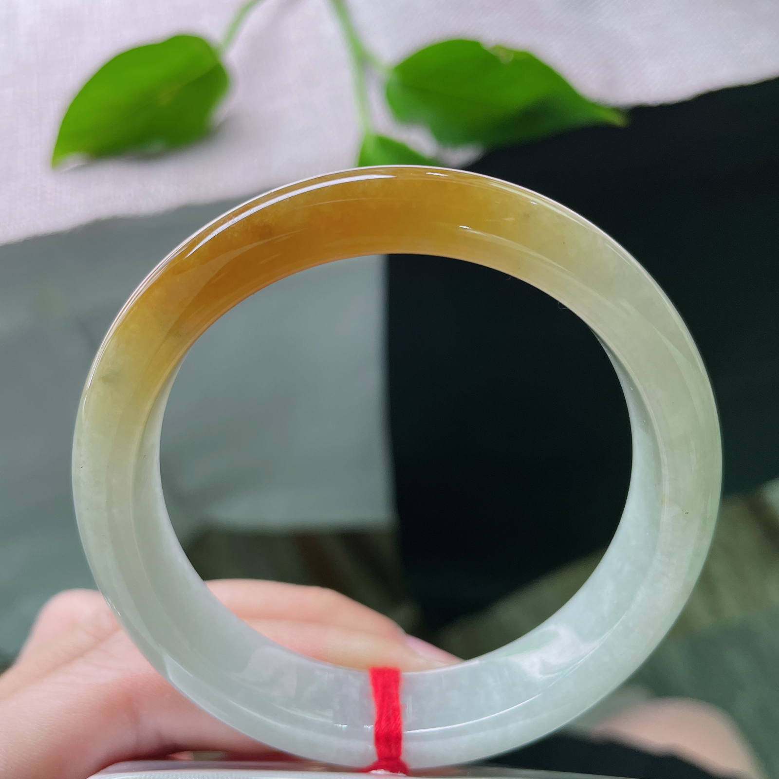 55.2/12.5/7.6黄翡正圈，水润细腻，金玉满堂，福泽绵长，贵气