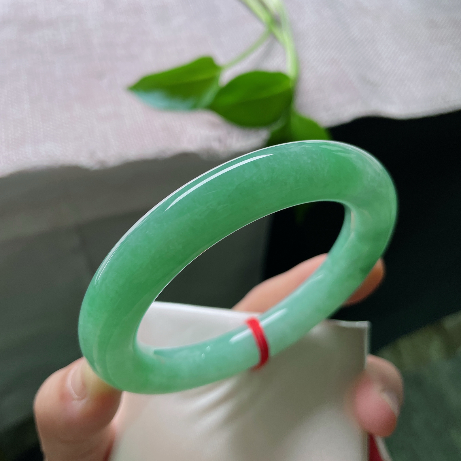 57.6/11.8，满绿圆条，圆的是福气，满的是生机。愿日子如这翠色，生生不息。棉线