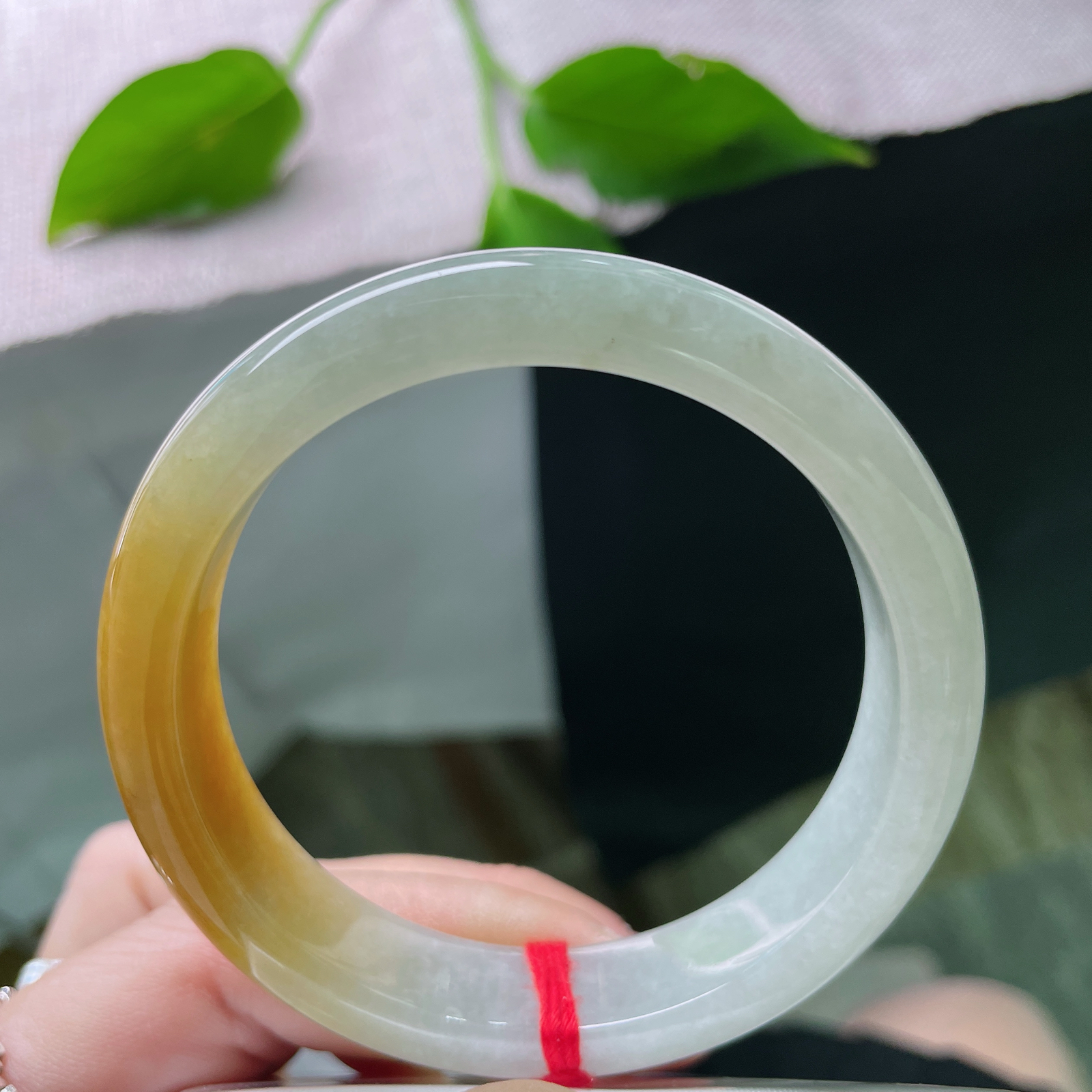 55.2/12.5/7.6黄翡正圈，水润细腻，金玉满堂，福泽绵长，贵气