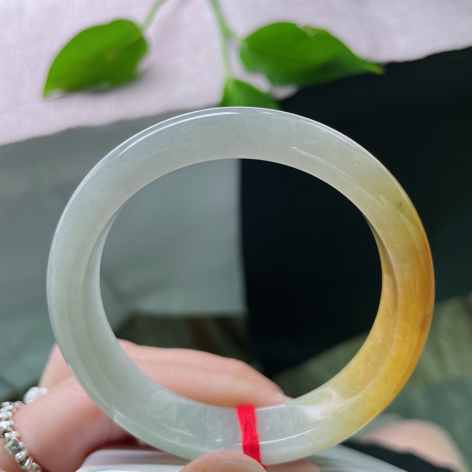 55.2/12.5/7.6黄翡正圈，水润细腻，金玉满堂，福泽绵长，贵气