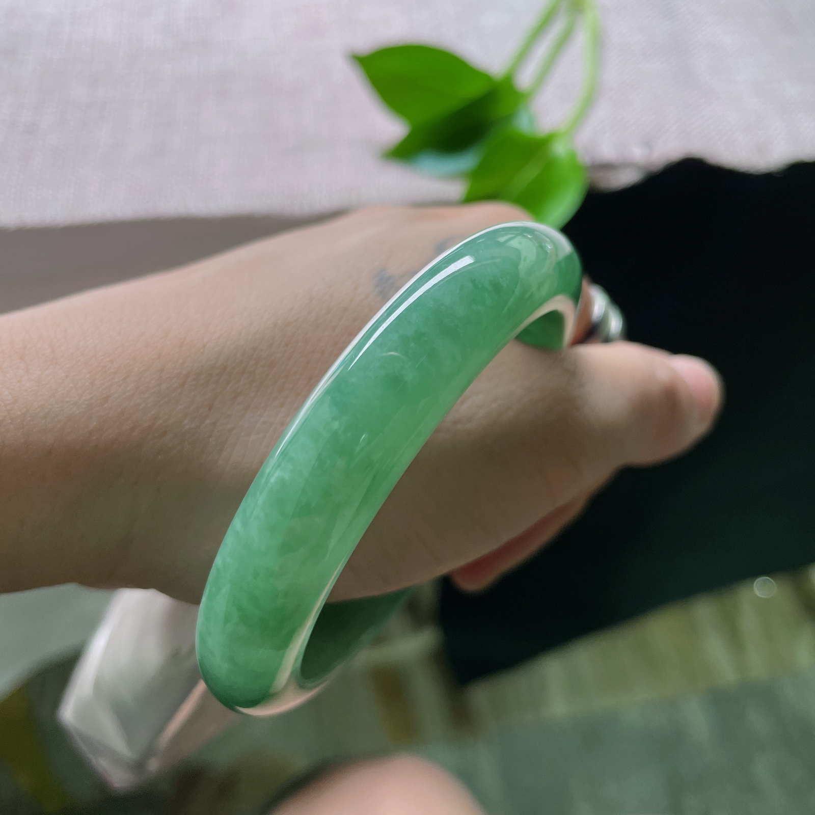 55.8/11.8/8.5，豆绿底正圈，是枝头初萌的豆蔻，是茶汤里漾开的青意。