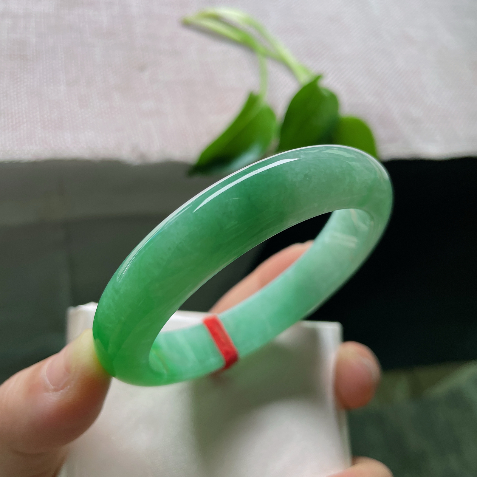 54.8/12.6/8.5，满绿正圈，是深潭静水映出的整片森林，万古长青。整体无暇