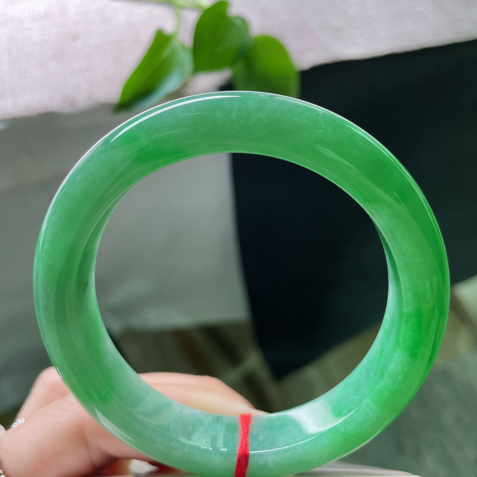 58.6/12.7/9.5绿底正圈，腕间轻绕，是凝固的春水，是具象的青山。无纹裂