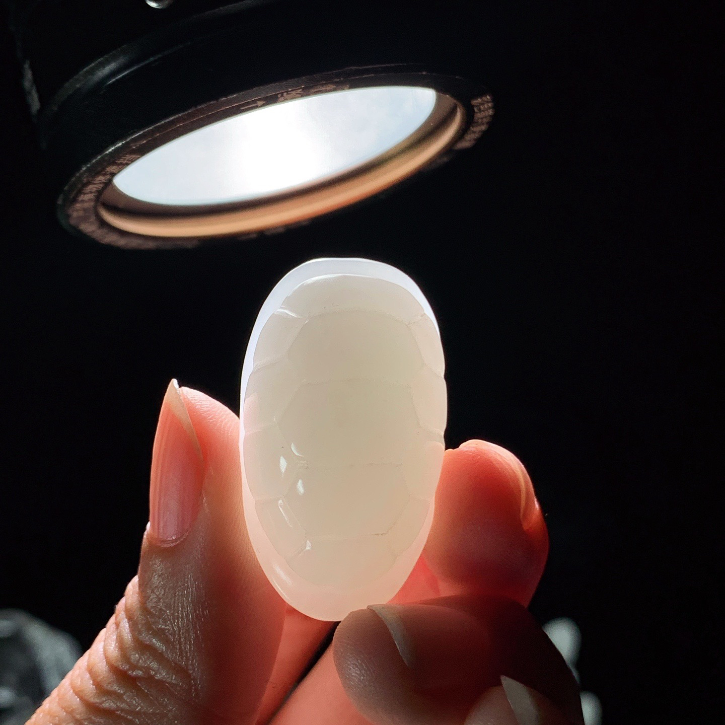 新疆和田玉龟壳挂件 尺寸35/20/22重22.5克 玉质细腻油润 底色纯净 脂粉好，品质好。lt260327