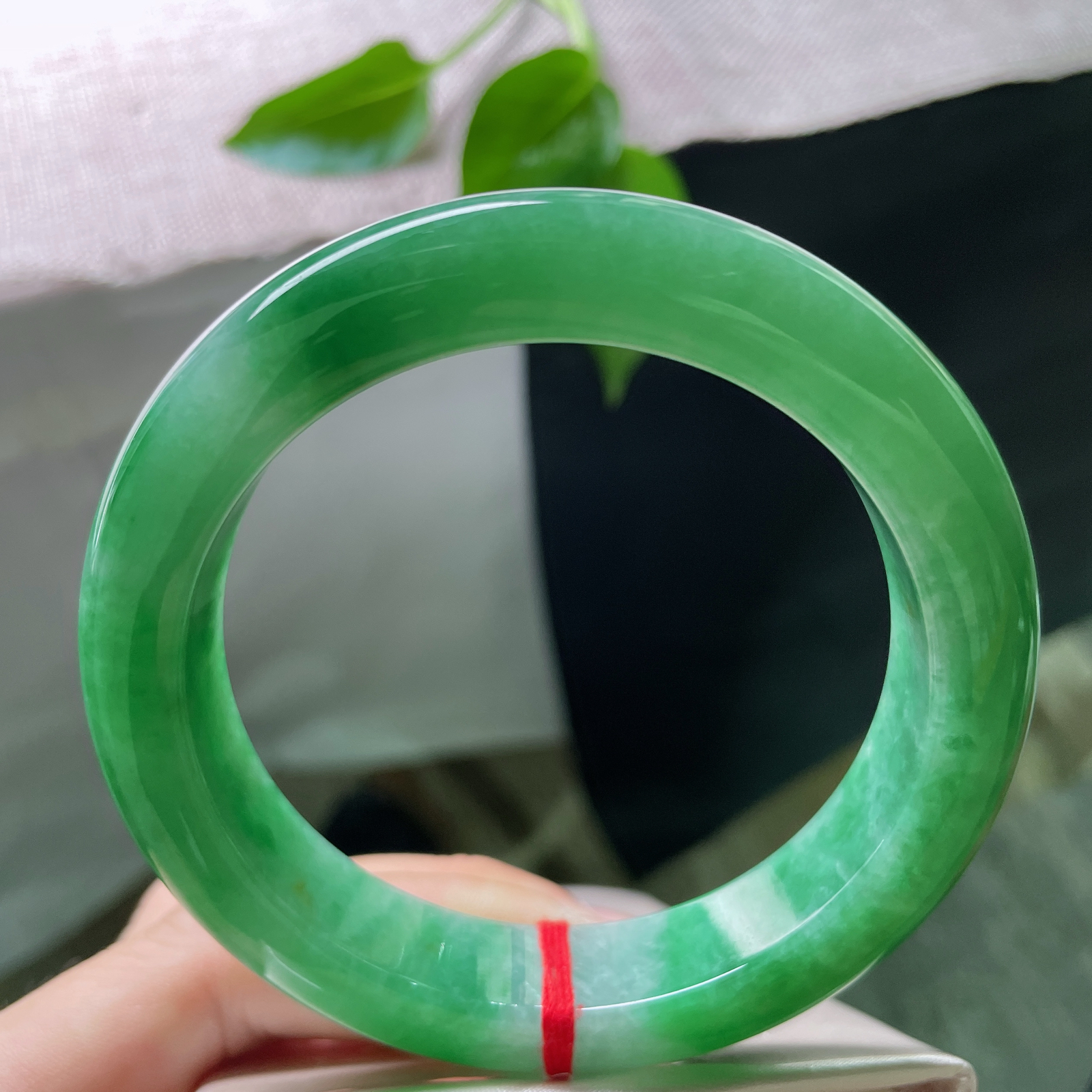 61.1/13.8/10.5，满绿正圈，大圈口，如深潭碧波，静水深流。洒金招财进宝。皮纹，