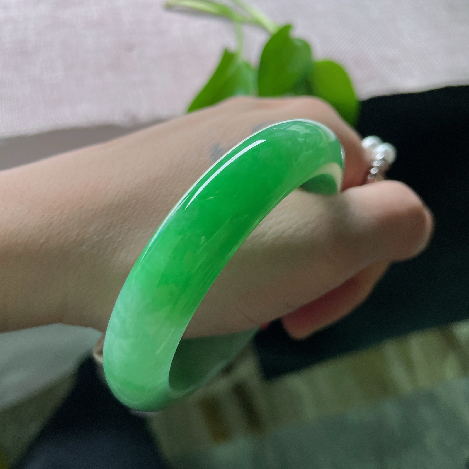 54.8/12.6/8.5，满绿正圈，是深潭静水映出的整片森林，万古长青。整体无暇