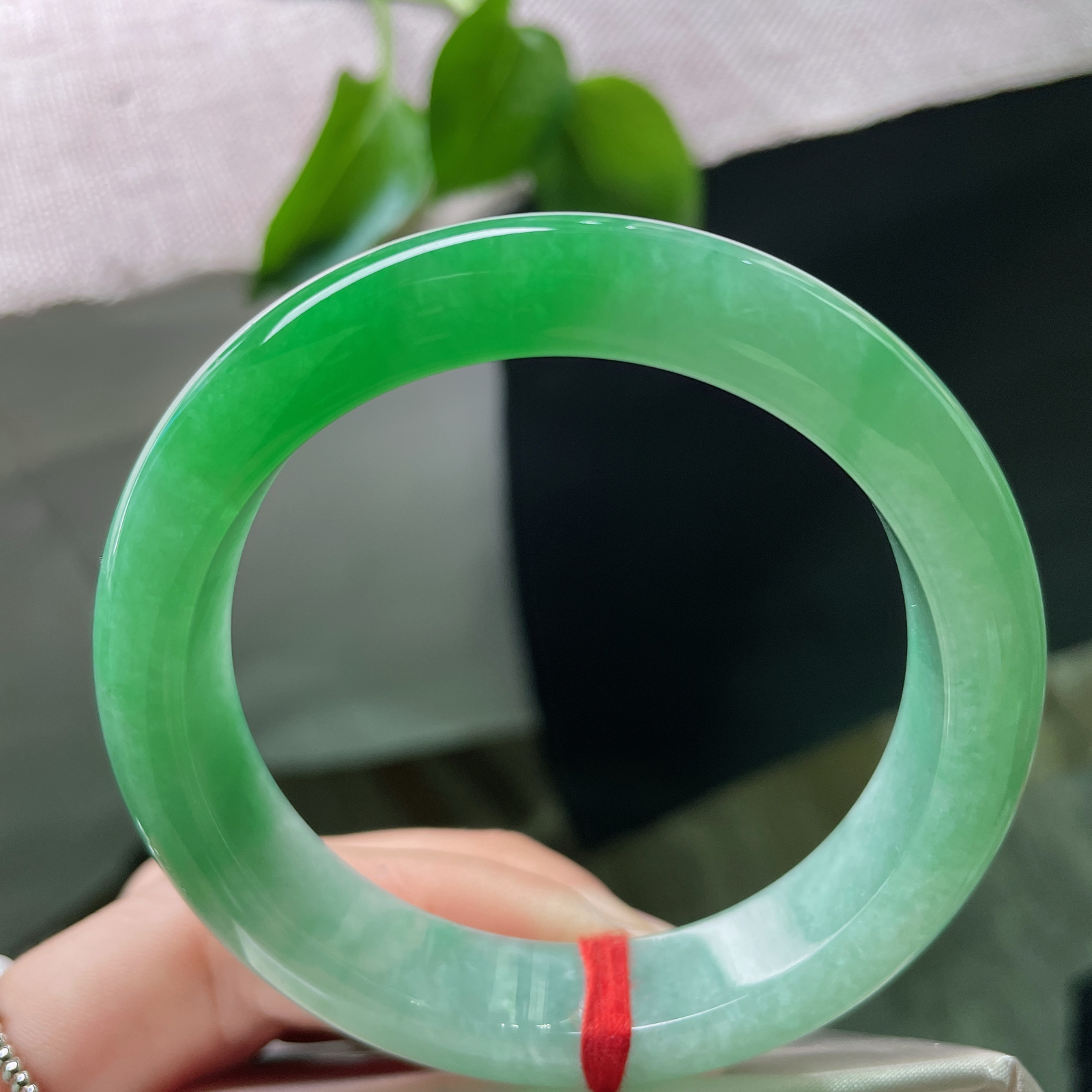 54.8/12.6/8.5，满绿正圈，是深潭静水映出的整片森林，万古长青。整体无暇