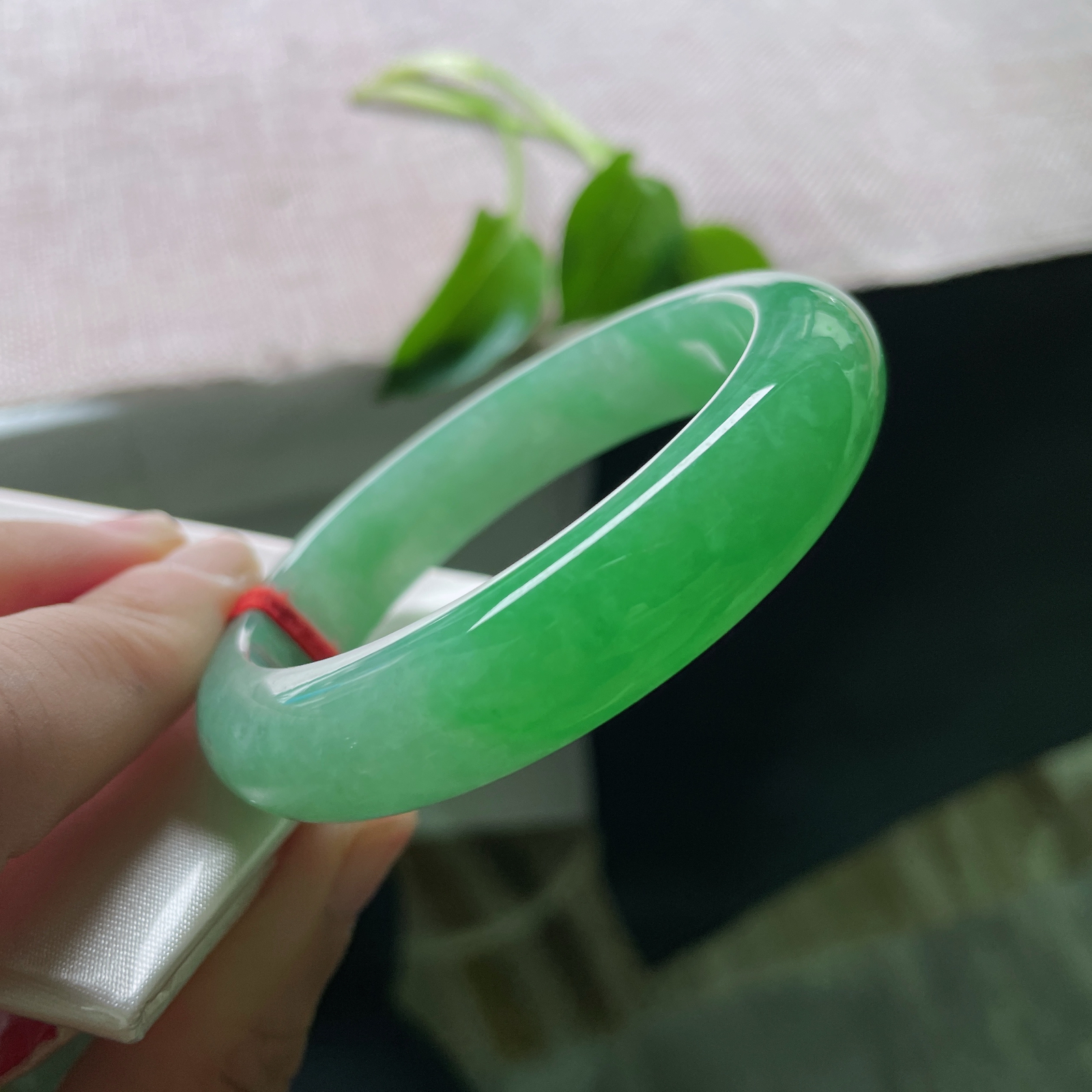 52.5/12.5/8.5，满绿正圈，方寸之间，凝翠千年。倾国又倾城，无纹裂