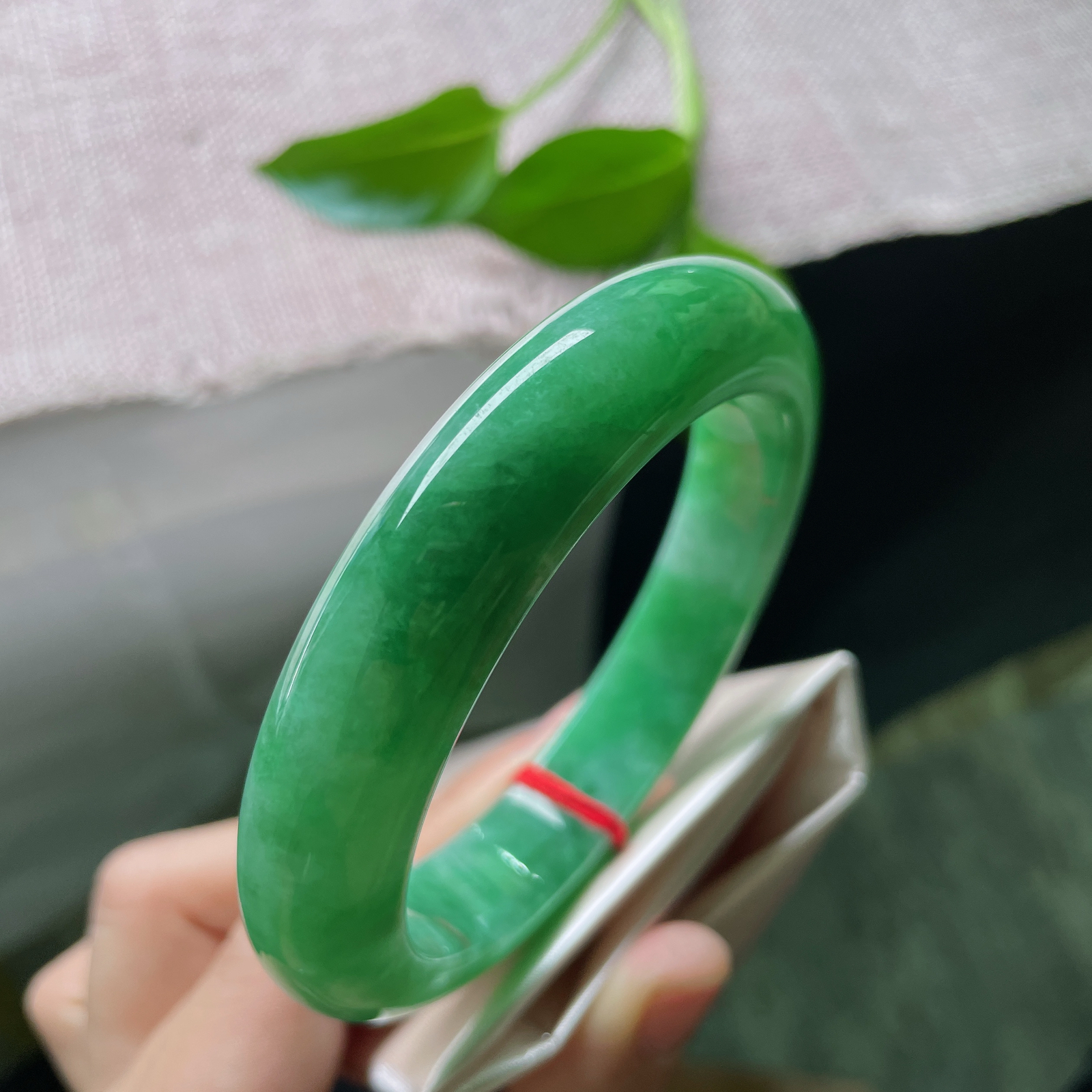 61.3/13.6/10.1，满绿正圈，大圈口，致青葱岁月，经典传承之美，皮纹，