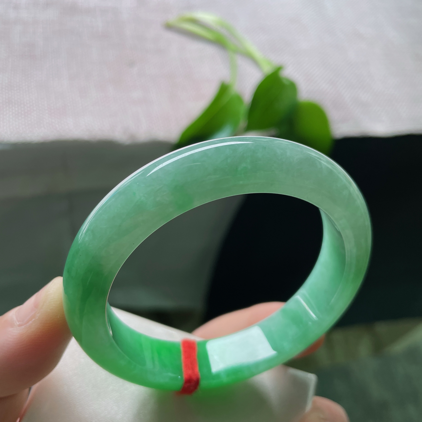 54.8/12.6/8.5，满绿正圈，是深潭静水映出的整片森林，万古长青。整体无暇