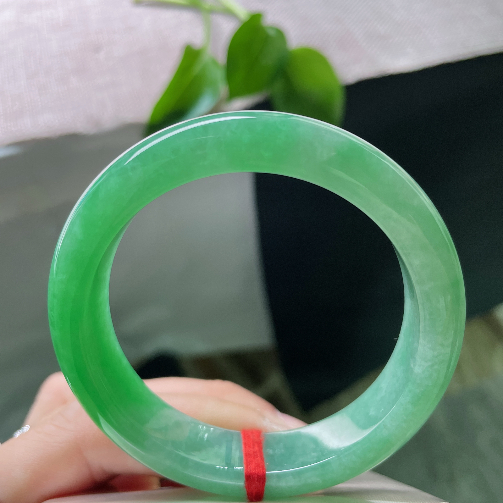 52.5/12.5/8.5，满绿正圈，方寸之间，凝翠千年。倾国又倾城，无纹裂