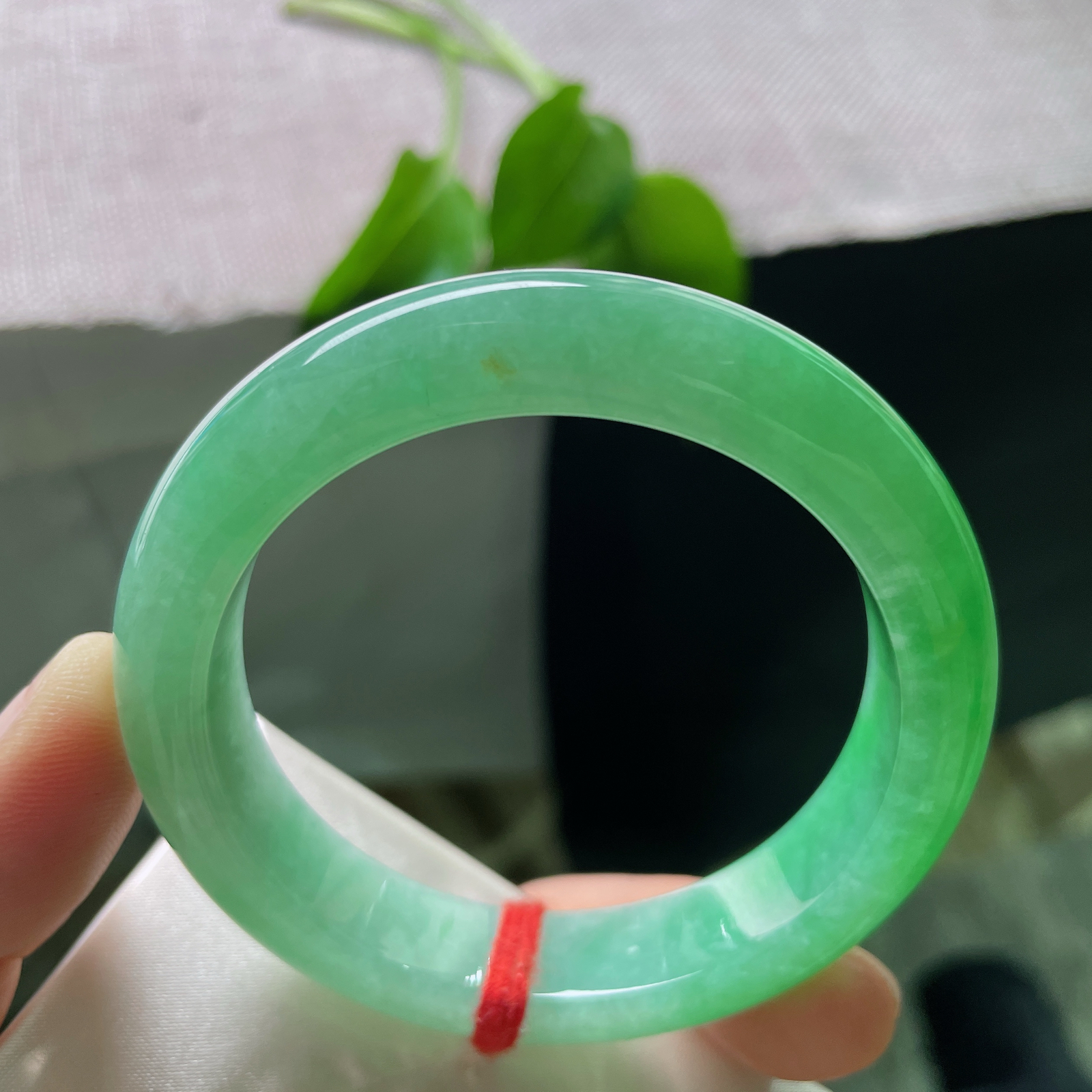 52.6/12.6/8.6，满绿正圈，是皇冠上的明珠，雍容华贵，娇媚多姿。无纹裂