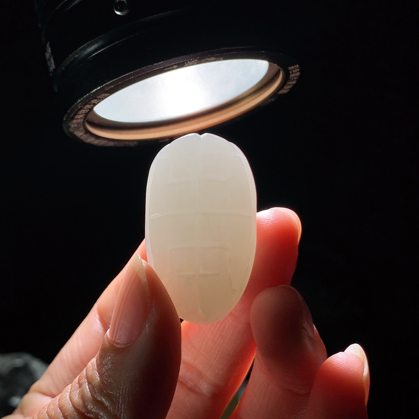 新疆和田玉龟壳挂件 尺寸35/20/22重22.5克 玉质细腻油润 底色纯净 脂粉好，品质好。lt260327