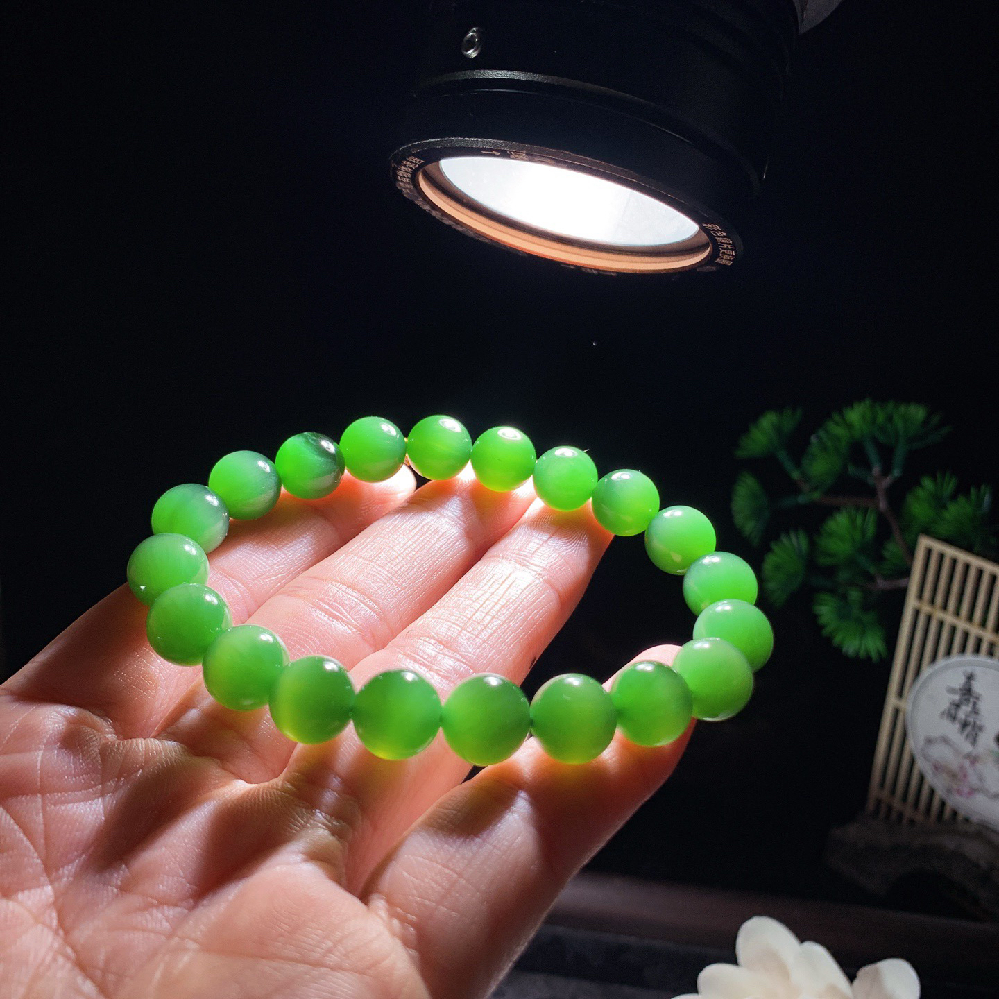 和田玉阳绿猫眼俄罗斯碧玉手串 单颗尺寸9！玉质细腻油润 底色纯净 脂粉好，品质好！lt260330