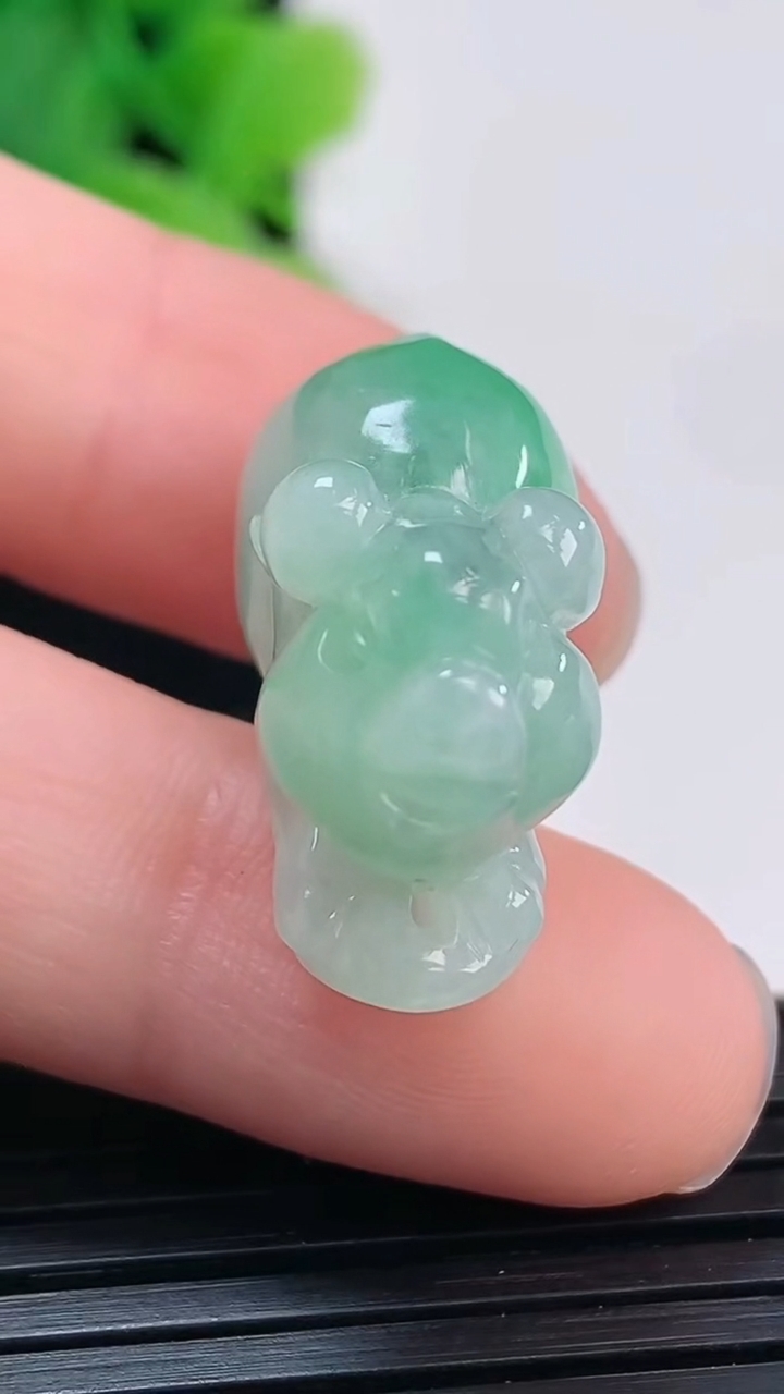 天然A货翡翠生肖猪吊坠尺寸23.3-11.5-16.5重量:7.74g
4月4日