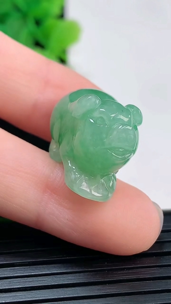 天然A货翡翠生肖猪吊坠尺寸13.4-21.5-13.2重量:7.78g
4月4日