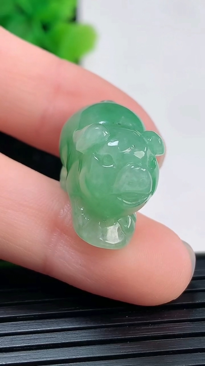 天然A货翡翠生肖猪吊坠尺寸13.4-21.5-13.2重量:7.78g
4月4日