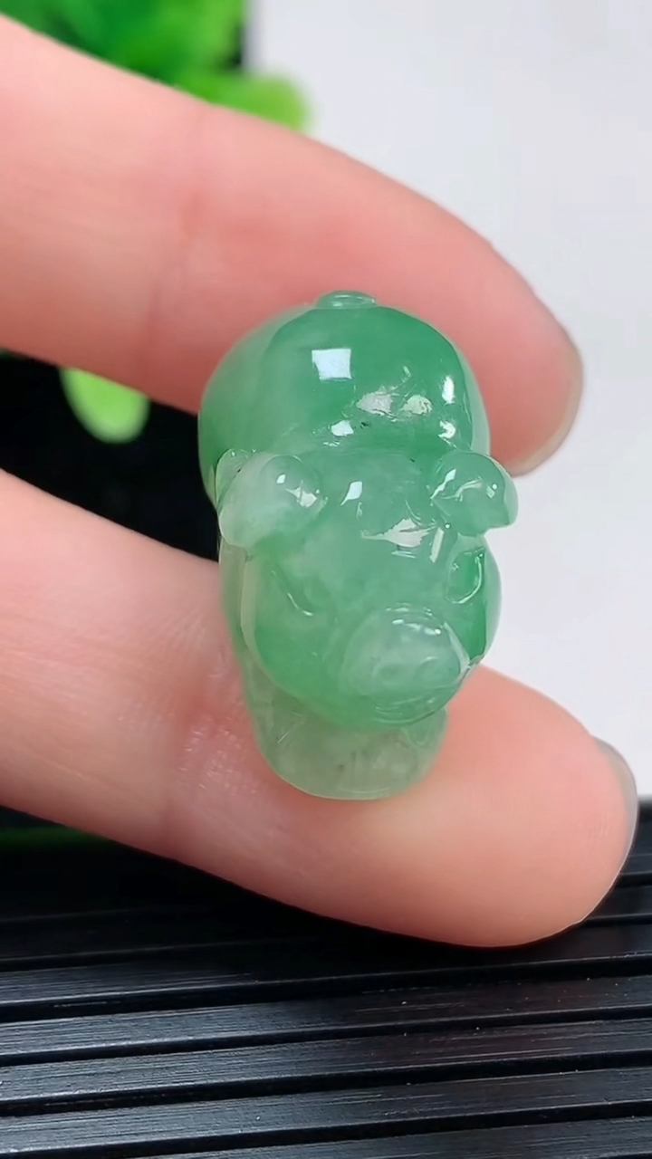 天然A货翡翠生肖猪吊坠尺寸13.4-21.5-13.2重量:7.78g
4月4日
