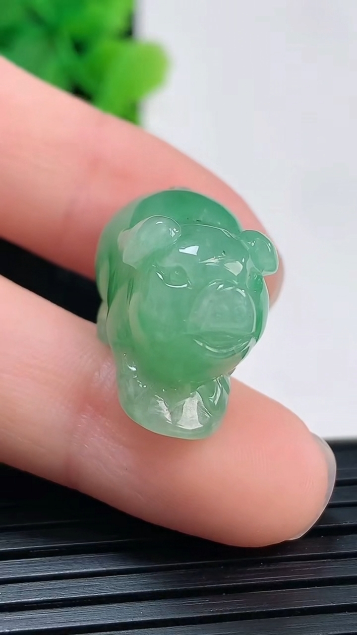 天然A货翡翠生肖猪吊坠尺寸13.4-21.5-13.2重量:7.78g
4月4日