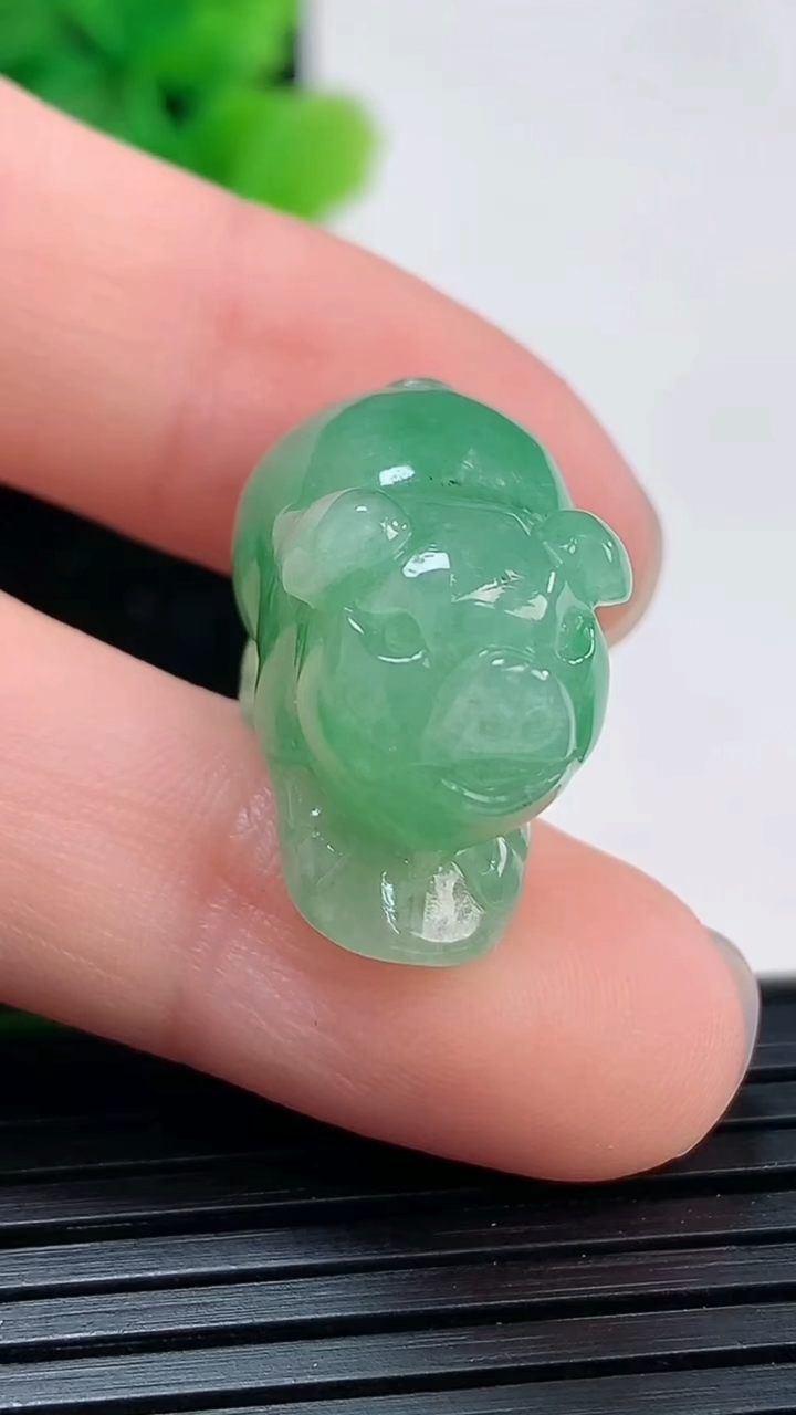 天然A货翡翠生肖猪吊坠尺寸13.4-21.5-13.2重量:7.78g
4月4日