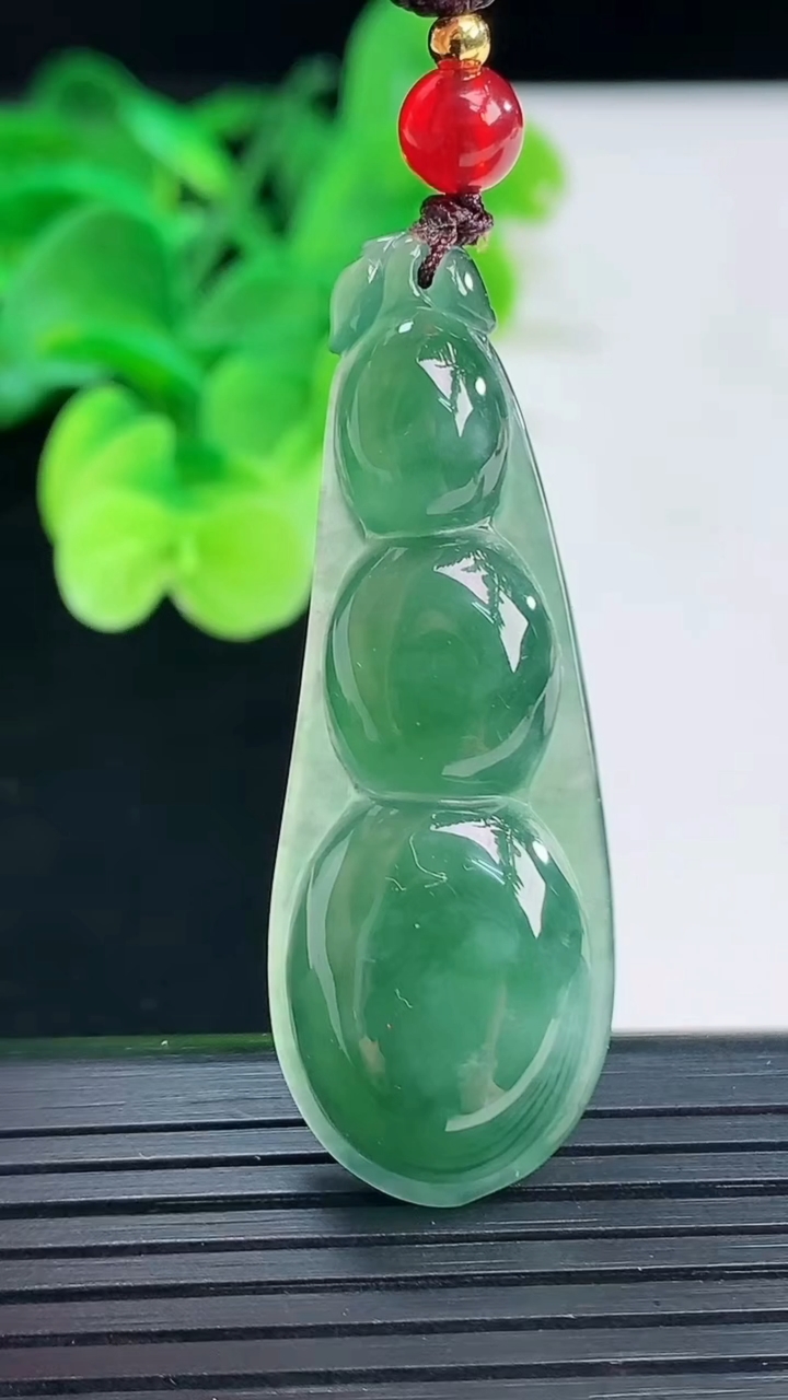 天然A货翡翠福豆吊坠尺寸48.5-17.5-6.5重:7.75g 99
4月6日