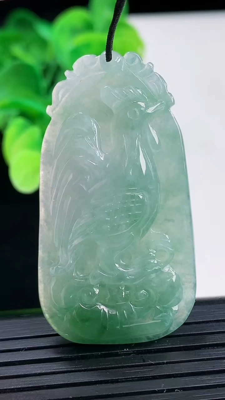 天然A货翡翠生肖鸡吊坠尺寸48.1-25.8-7.3重量:15.84g
4月6日
