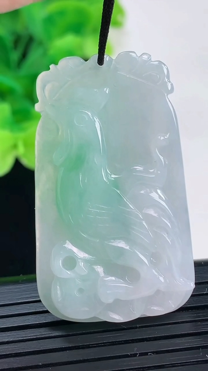 天然A货翡翠生肖鸡吊坠尺寸41.4-24.6-5.6重量:11.27g
4月6日