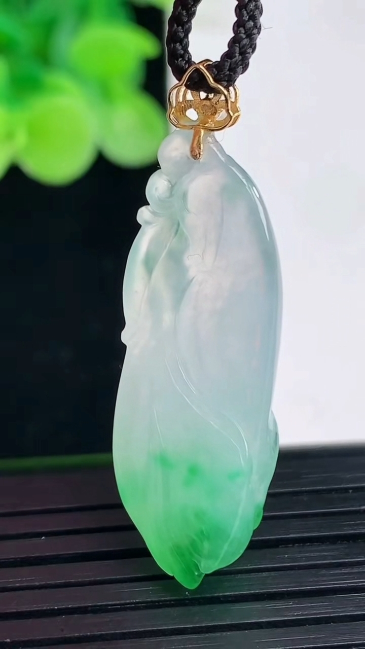 天然A货翡翠玉兰花吊坠尺寸40.2-11.6-7.5重量:4.93g
4月7日