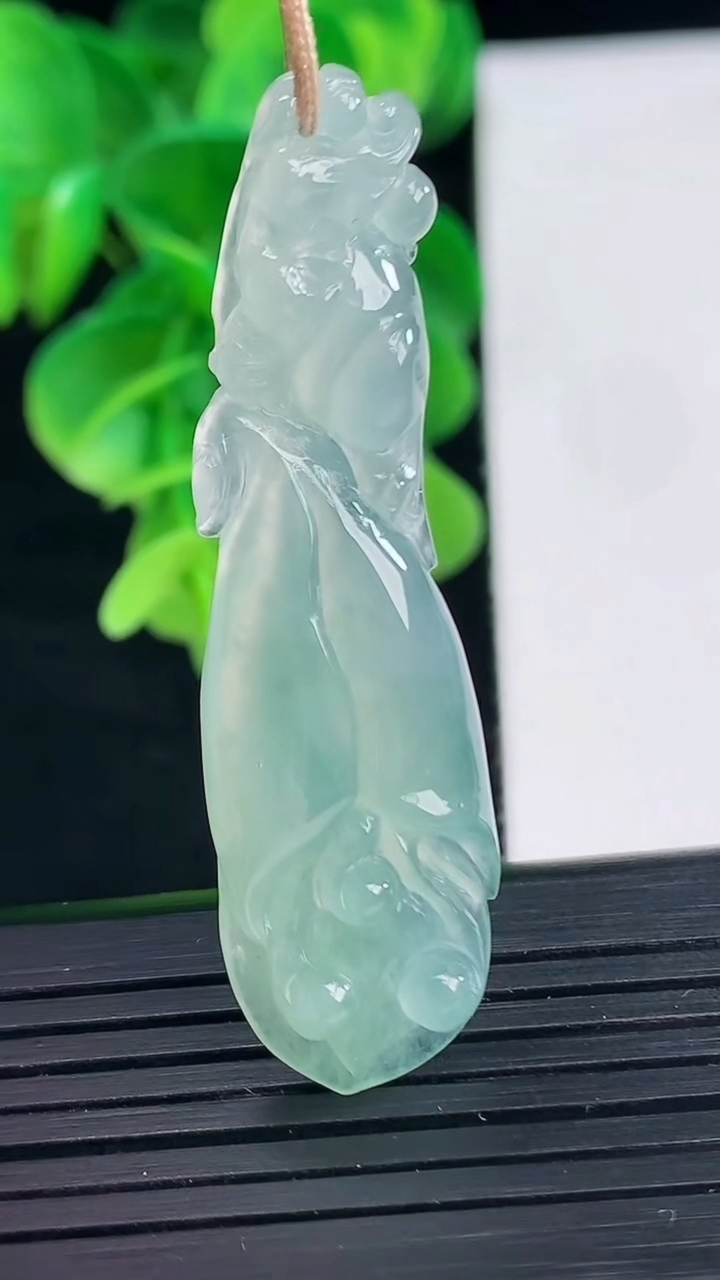 天然A货翡翠玉兰花吊坠尺寸50.6-13.9-5重量:6.50g
4月9日