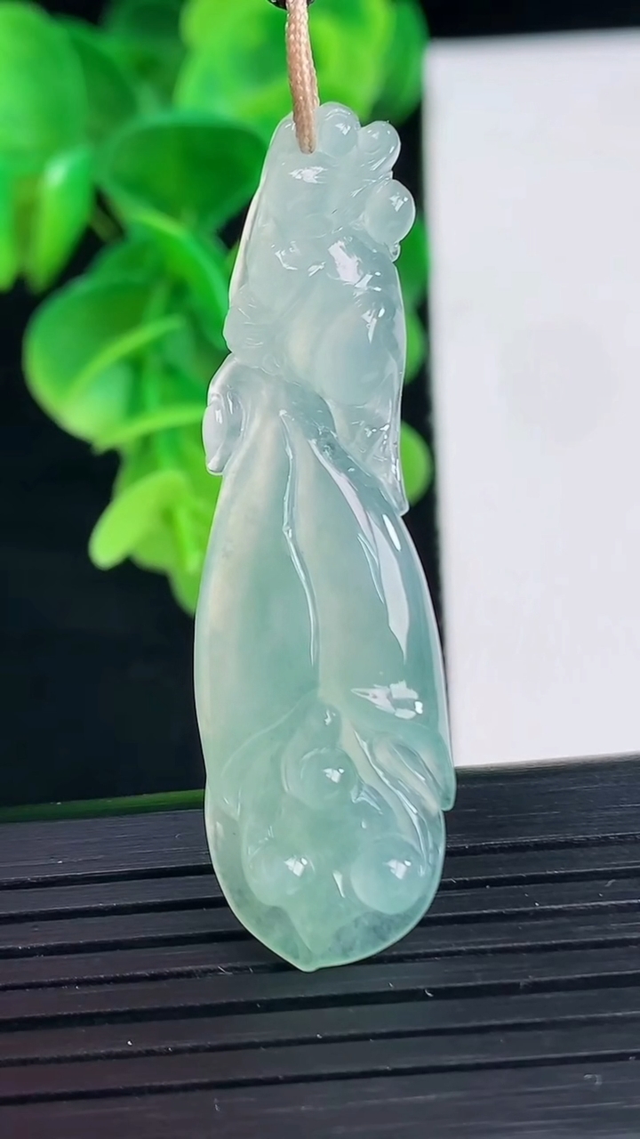 天然A货翡翠玉兰花吊坠尺寸50.6-13.9-5重量:6.50g
4月9日