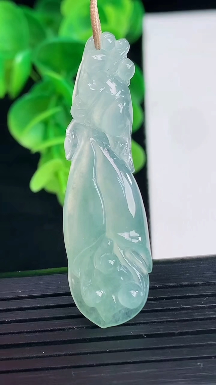 天然A货翡翠玉兰花吊坠尺寸50.6-13.9-5重量:6.50g
4月9日