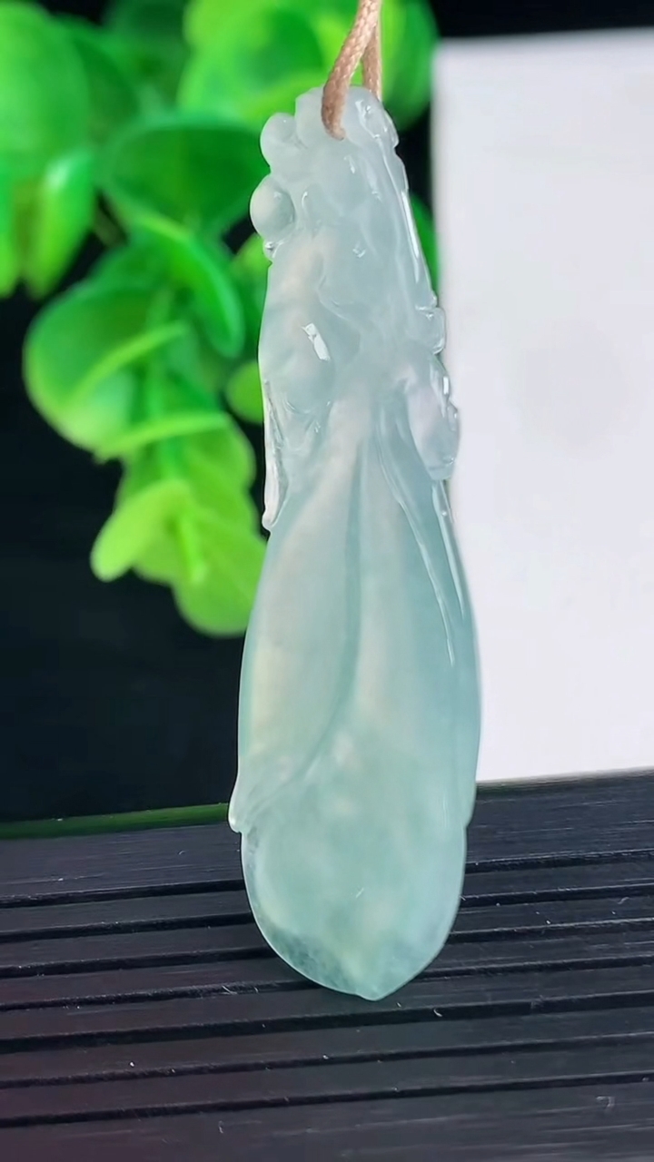 天然A货翡翠玉兰花吊坠尺寸50.6-13.9-5重量:6.50g
4月9日