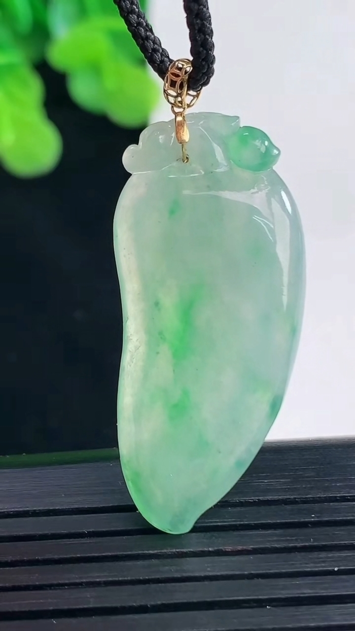 天然A货翡翠福瓜吊坠尺寸36.9-16.6-4.3重量:5.50g
4月10日