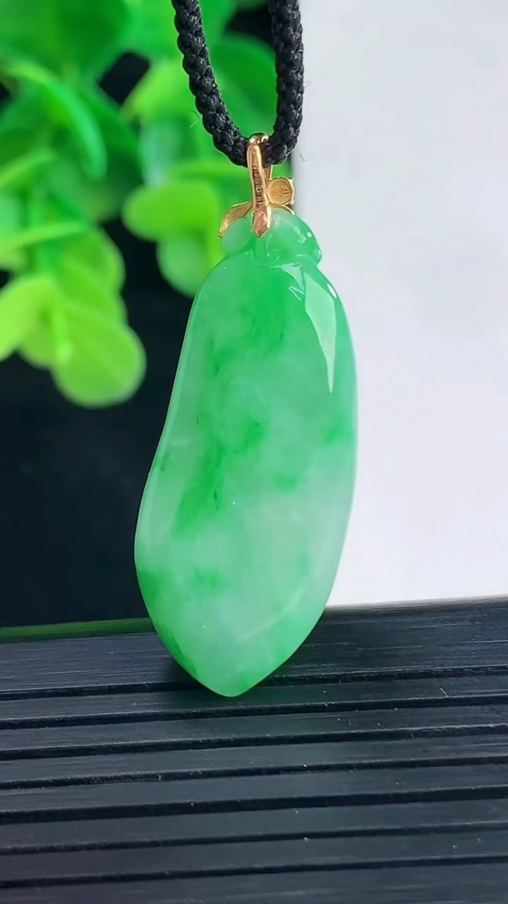 天然A货翡翠福瓜吊坠尺寸37.7-13.6-10重量:7.92g
4月10日