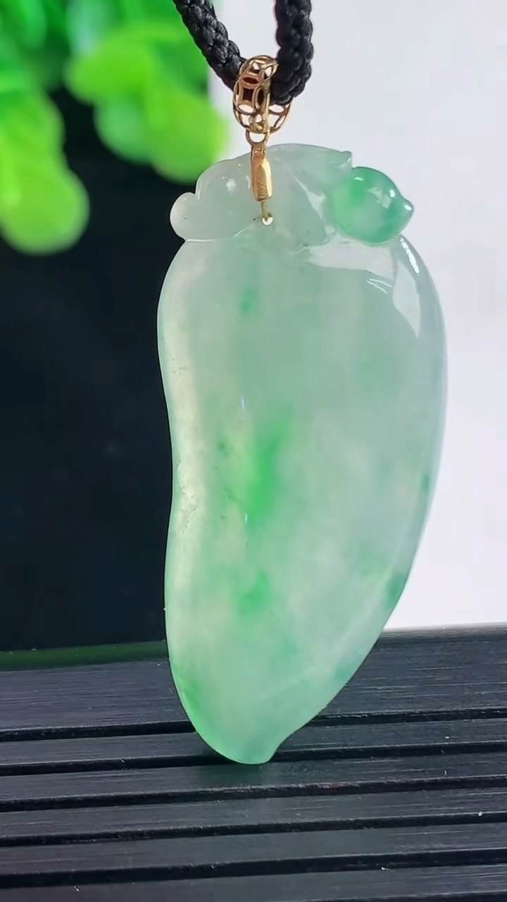 天然A货翡翠福瓜吊坠尺寸36.9-16.6-4.3重量:5.50g
4月10日