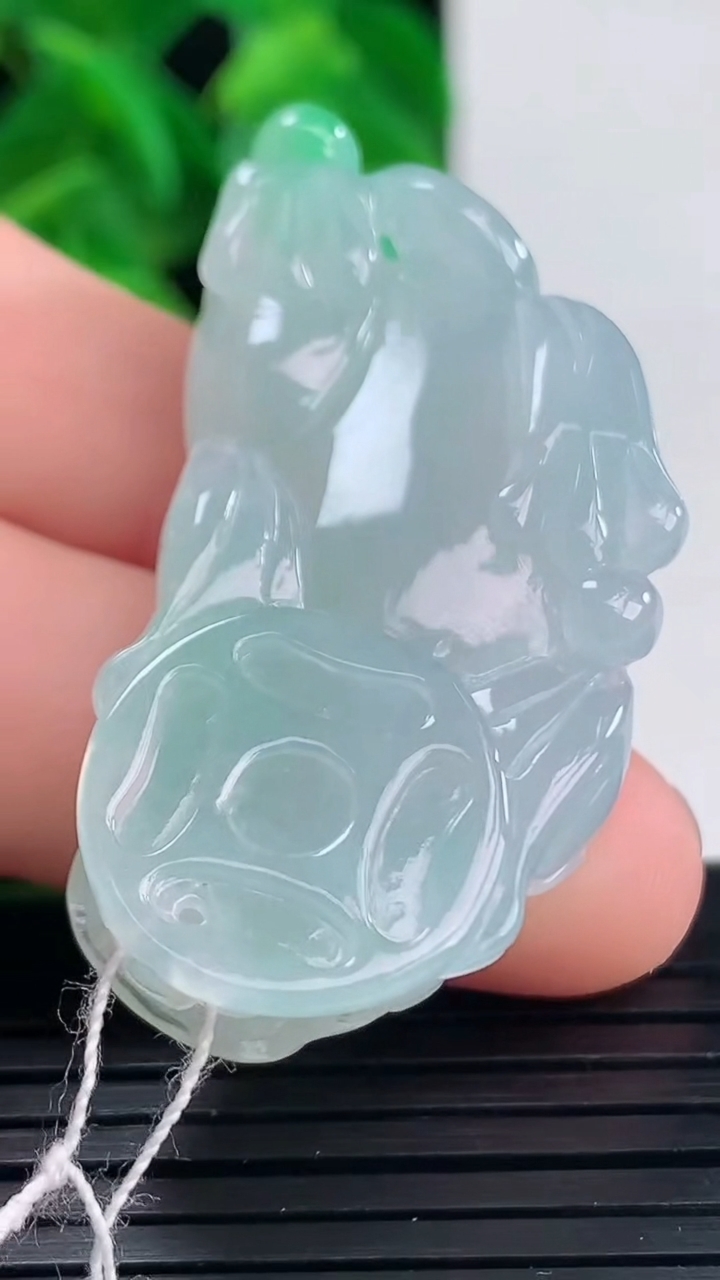 天然A货翡翠貔貅吊坠尺寸43.6-21.3-10.9重量:20.71g
4月10日