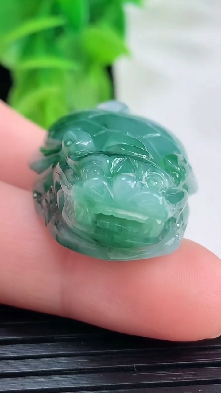 天然A货翡翠飘花龙龟吊坠尺寸39.2-13-11.6重量:19.65g
4月11日