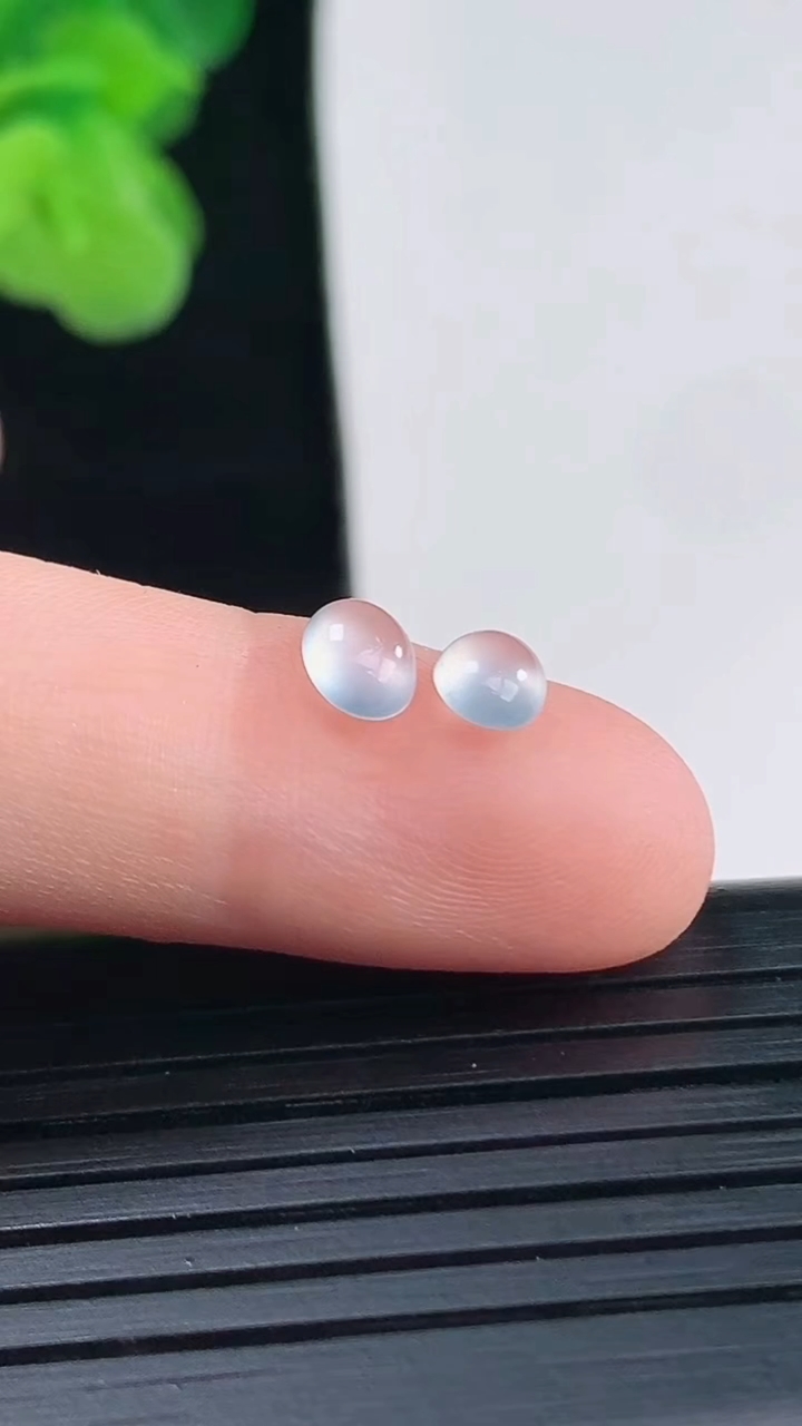 天然A货翡翠蛋面镶嵌件一对尺寸5.5-4.5-2.1重量:0.34g
4月11日