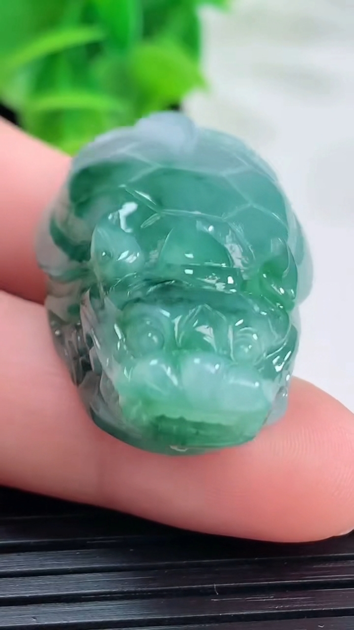 天然A货翡翠飘花龙龟吊坠尺寸39.2-13-11.6重量:19.65g
4月11日