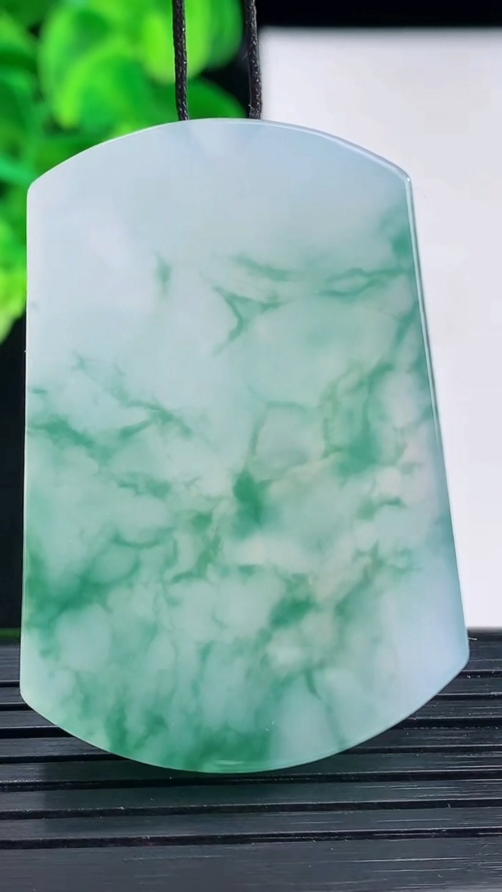 天然A货翡翠种飘花无事牌镶嵌件尺寸47.5-32.7-5.8重量:26.83g
4月12日