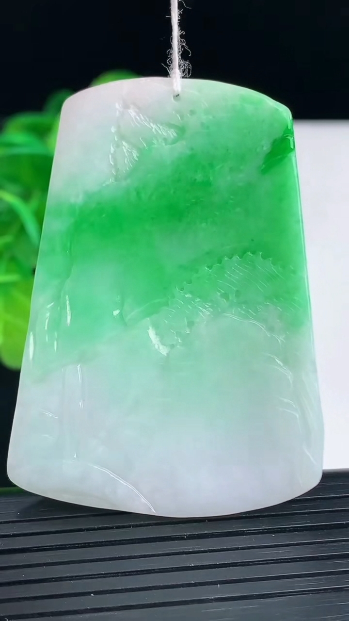天然A货翡翠山水牌吊坠尺寸58.5-41.7-5.5重量:29.71g
4月12日