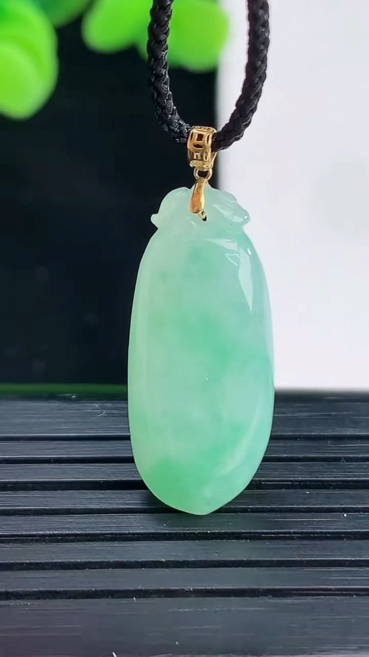 天然A货翡翠福瓜吊坠尺寸24.7-11-5.9重量:3.28g
4月12日