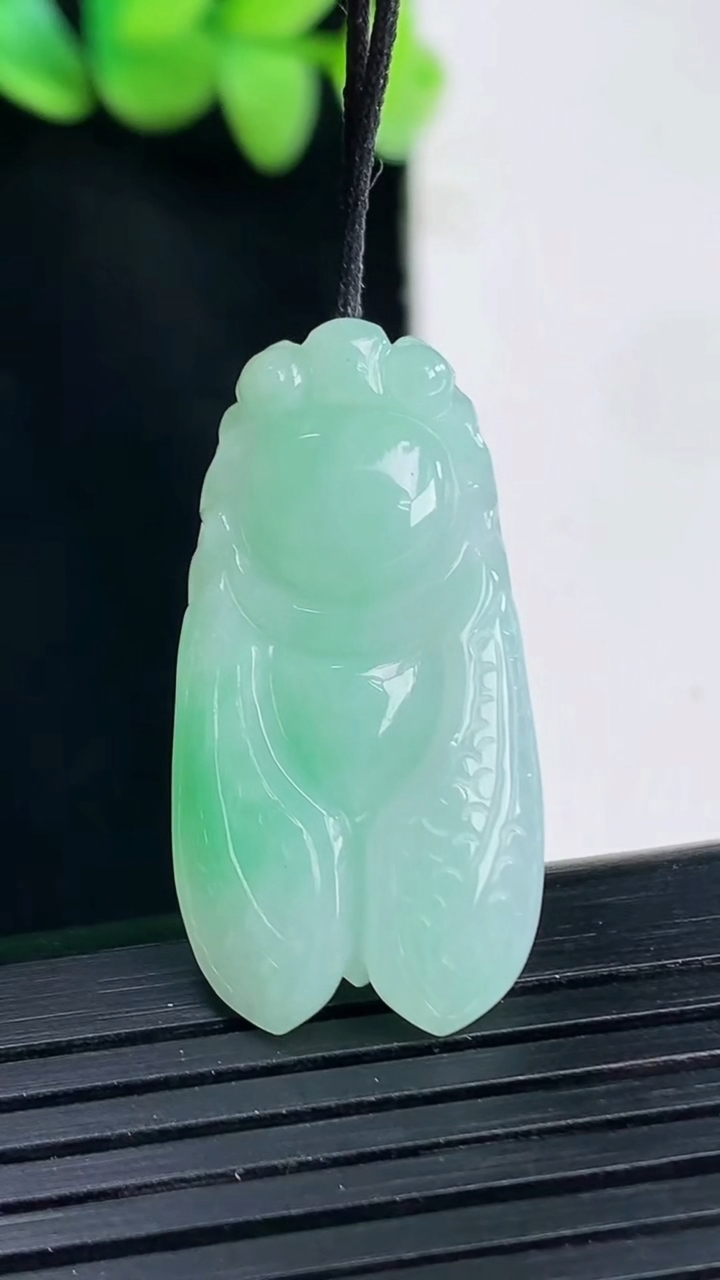 天然A货翡翠一鸣惊人吊坠，尺寸31-16-6重量:5.77g
4月13日