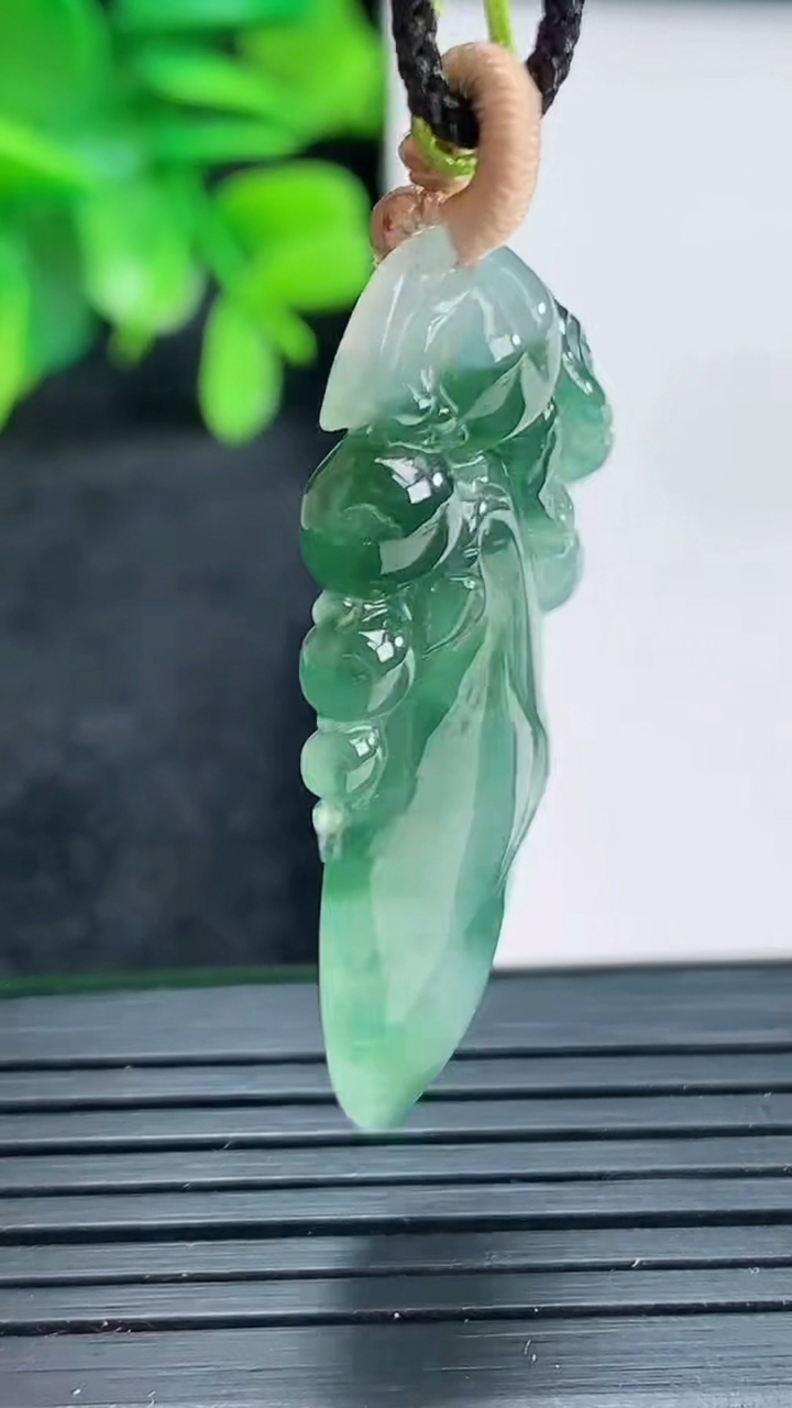 天然A货翡翠飘花福瓜吊坠尺寸397-19.1-4.8重量:5.75g
4月13日