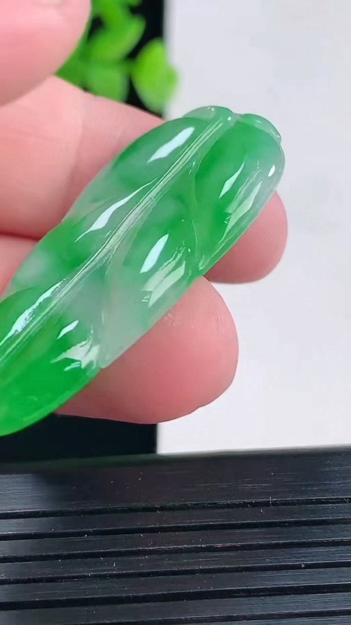 天然A货翡翠金枝玉叶 叶子吊坠，尺寸42.5-20.6-4.2重量:6.98g
4月13日