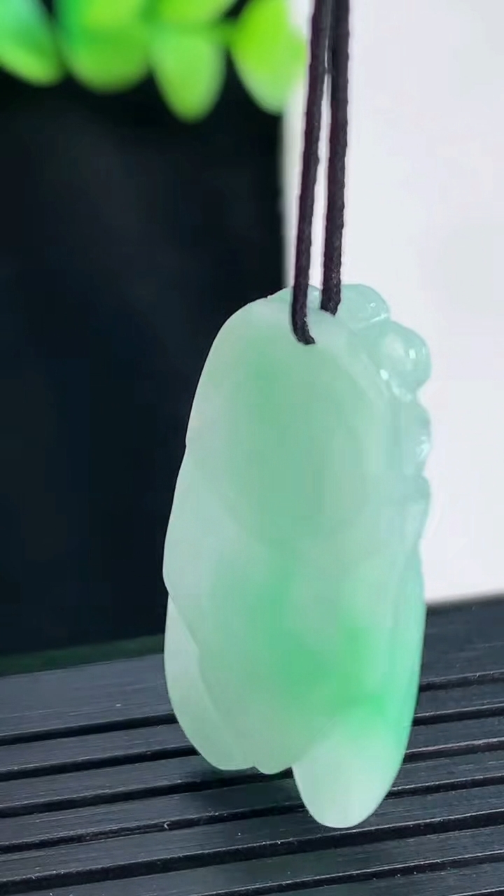 天然A货翡翠一鸣惊人吊坠，尺寸31-16-6重量:5.77g
4月13日