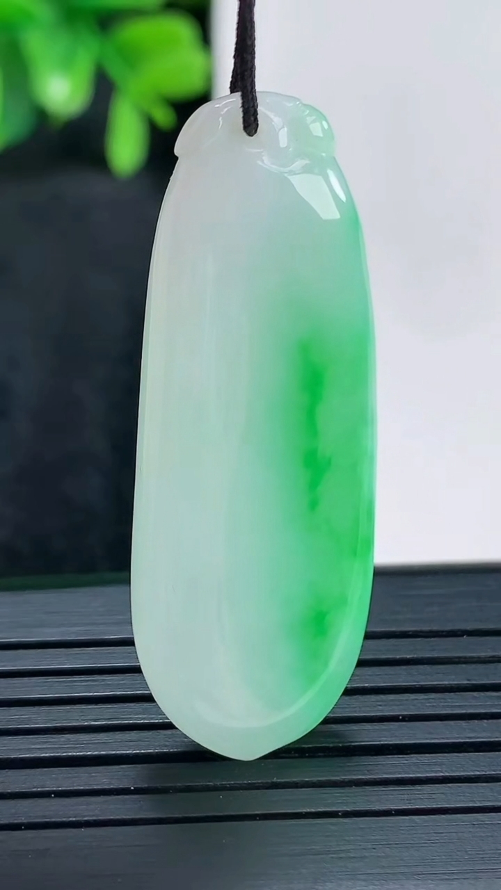 天然A货翡翠福瓜吊坠尺寸42.5-15.6-6.1重量:9.03g
4月14日